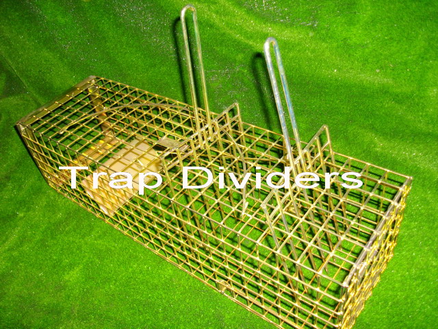 Squirrel Trap Divider Comb makes getting the squirrel out much easier